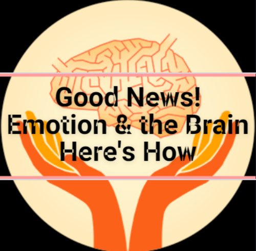 Good news! Emotion and the Brain how it works